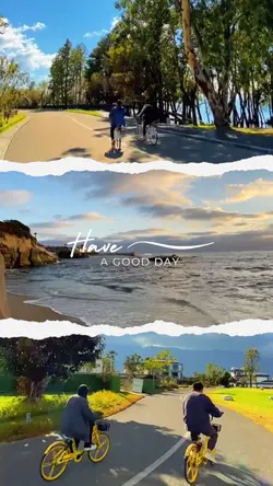 Trend Vlog 1116