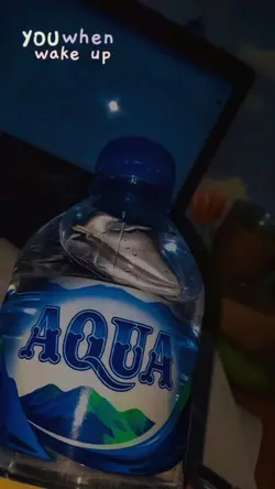 Aqua Dulu