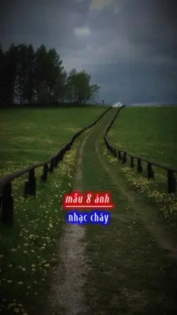 mẫu 8 ảnh