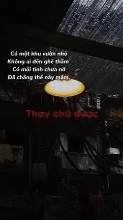 có mối tình chưa nở