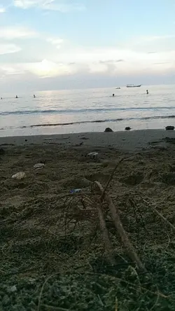 video dipercepat 