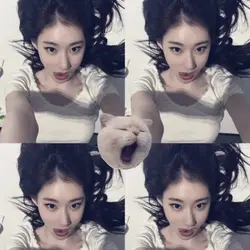 frame miawww