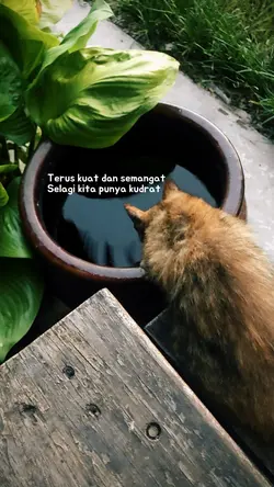 Semangat yuk!