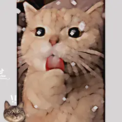 Nou