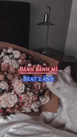 Bán bánh mì