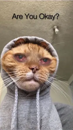 Are you Okay? 