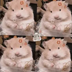 '3'~