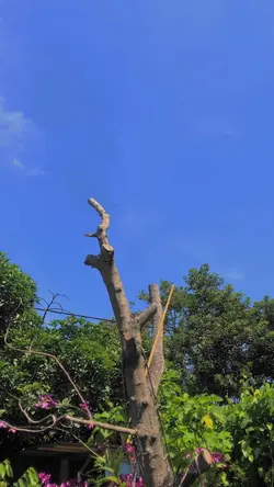 Aku kecapek an 