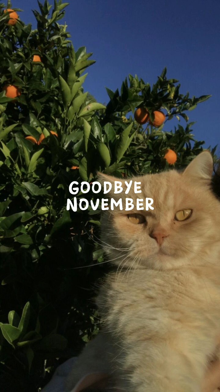 Goodbye November Templates - Pippit