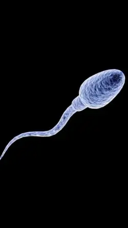 glow up