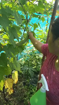 Anak orang kaya