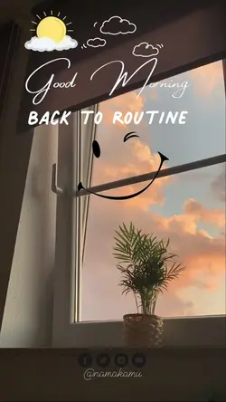 back to routine