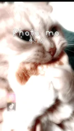 hi