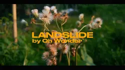 Landslide
