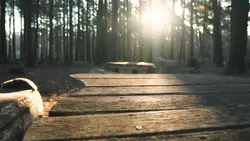 Runaway