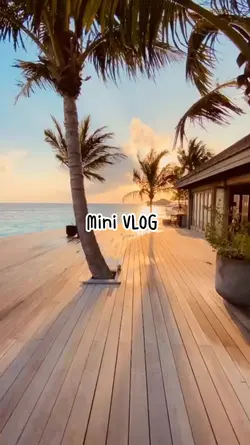 VLOG Umbrella 