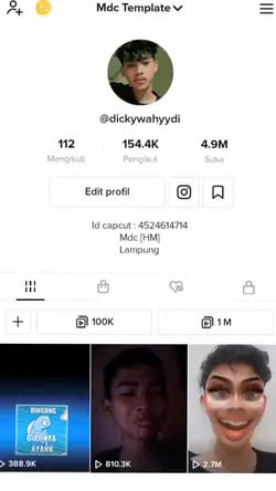 PROFIL TIKTOK