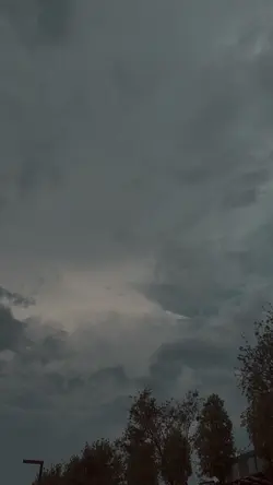 vlog