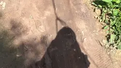 Thêm 1 video
