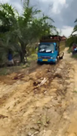 Slowmo Viral