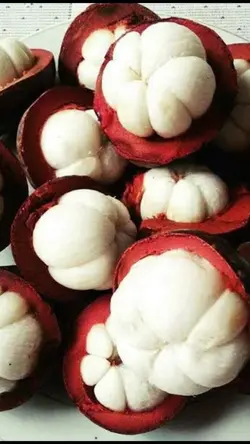 Mangosteen Fruit
