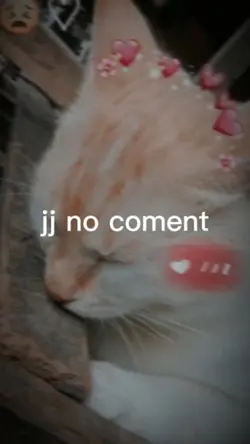 JJ No Coment