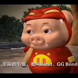 “美丽的小姐 我叫gg bond”