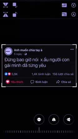 đừng bao giờ 