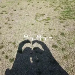 반전텡풀릿 