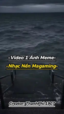 Mẫu 1 ảnh meme