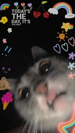 Cocomelon kaka