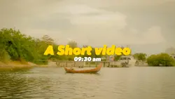 Wes anderson | VSoft