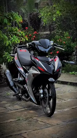mẫu xe kiểng