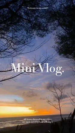 Mini vlog