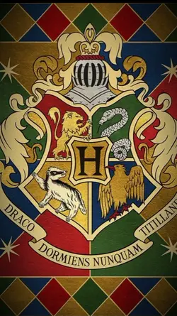 welcome to Hogwarts 