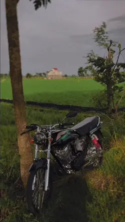 VERSI BLADE 