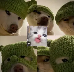 5pictures