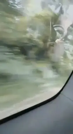 PRANK OTW?