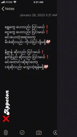 ရင်ခုန်လွန်းလို့ပါ