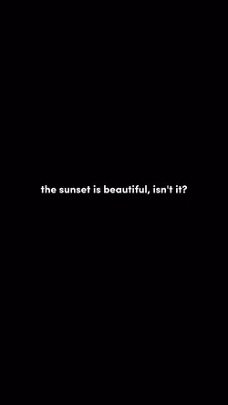 the sunset