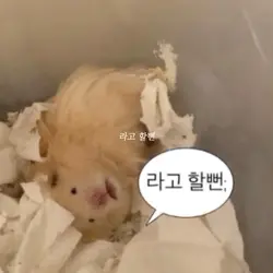 라고할뻔’’’’’
