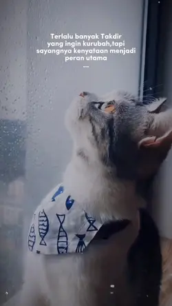 story sad