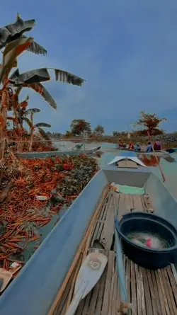CINEMATIC LAUT