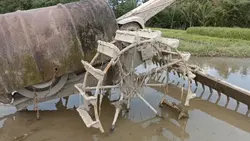 traktor