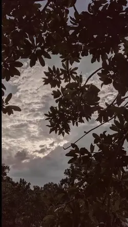 filter estetik vintg