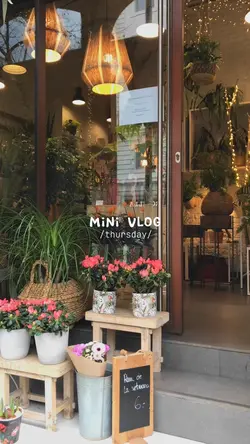 Mini Vlog