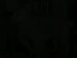 name text