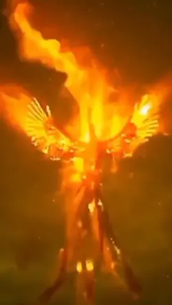 burung Rajawali api
