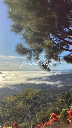 Travel