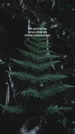quote